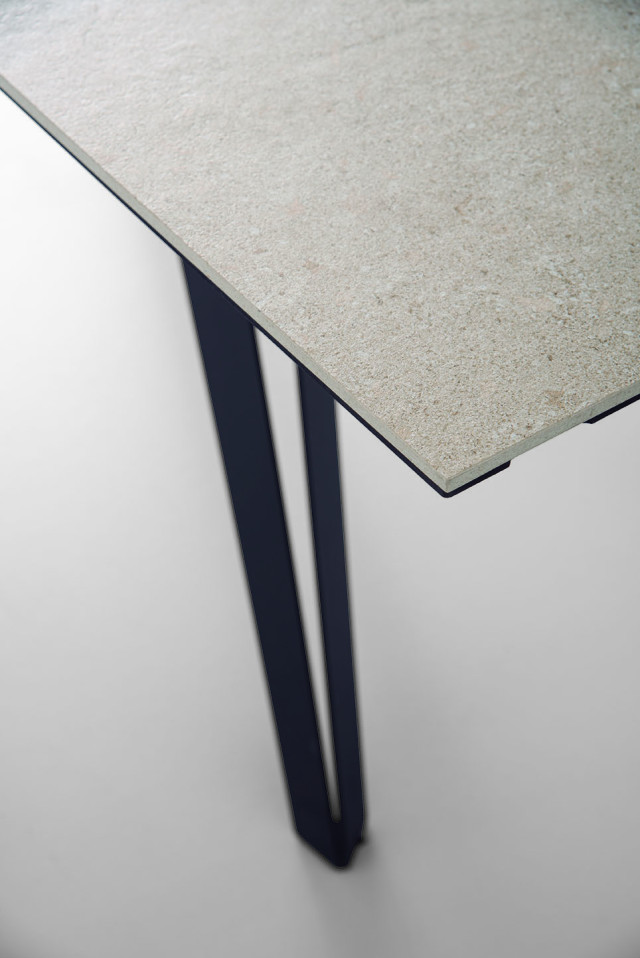 Detail of the countertop finish and Dragon leg design.