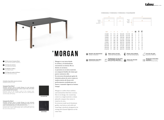 Technische Daten Morgan Mesa Living 2024